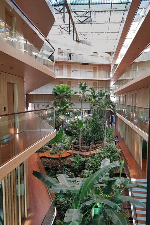 biophilic design in a hotel