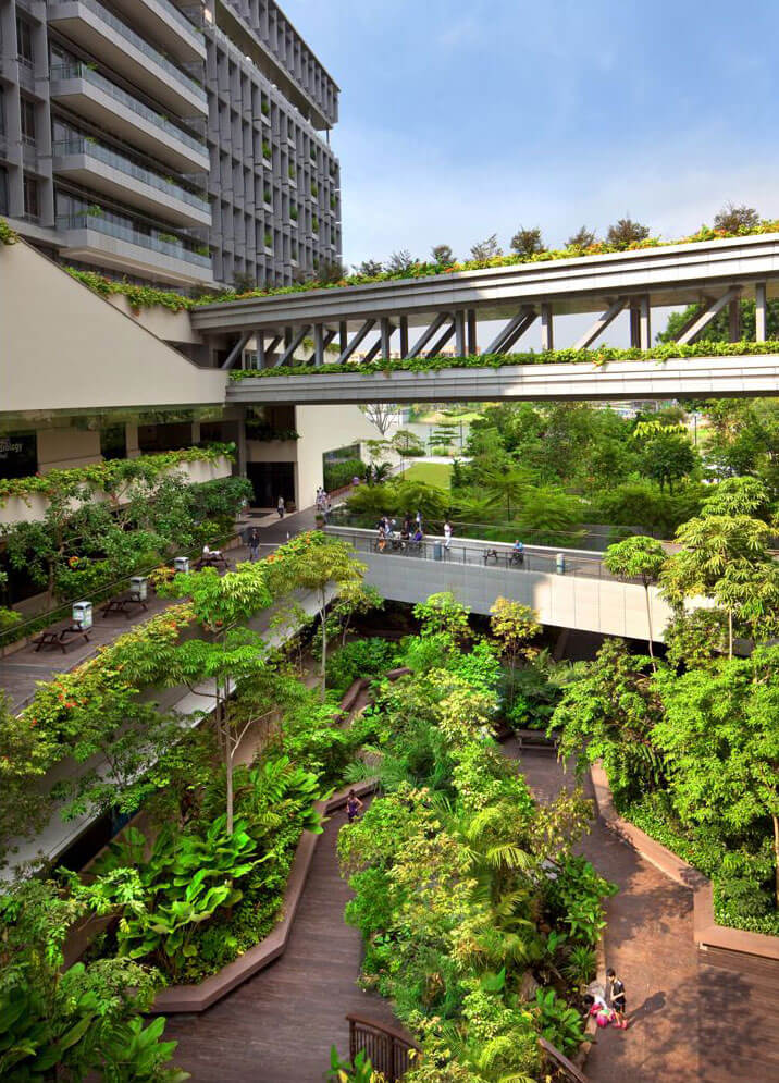 biophilia hypothesis design for a hospital in singapore